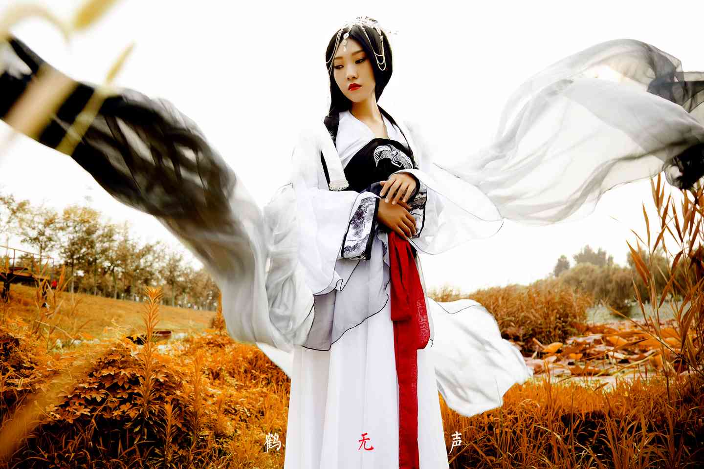 鹤拟人cosplay