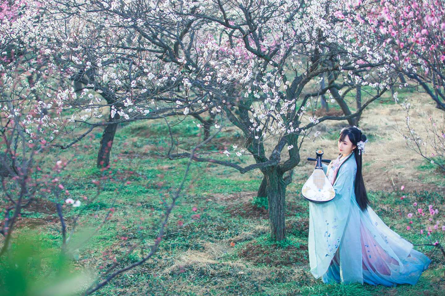 汉服 梅花泪