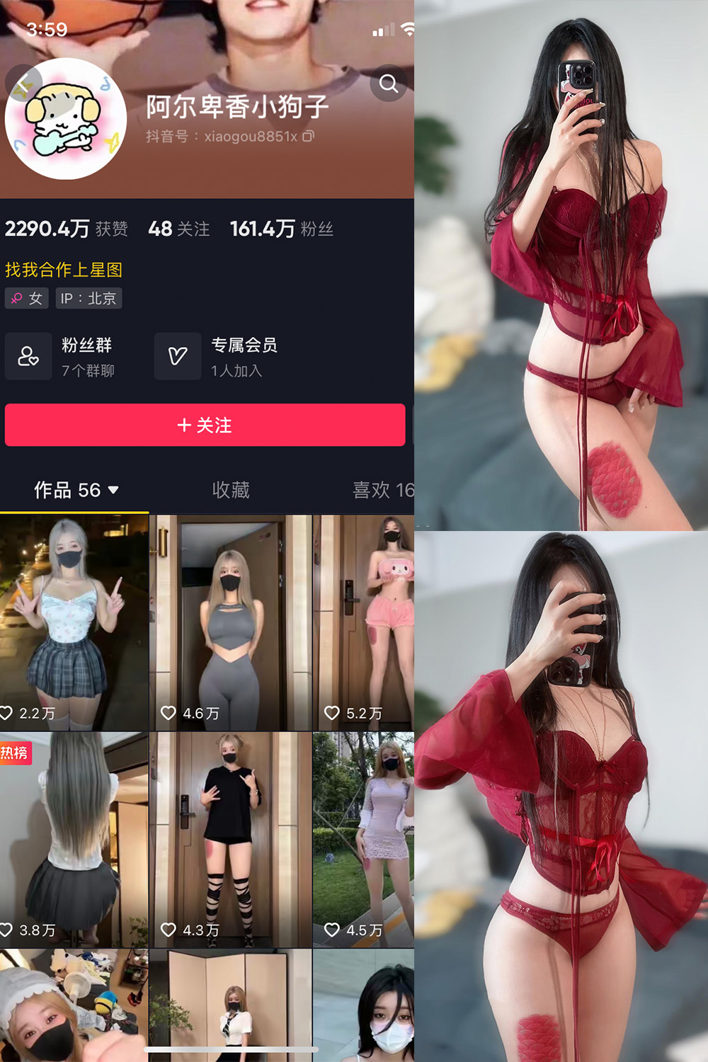 抖音 阿尔卑香小狗子 微密圈 NO.004期 【10P2V】